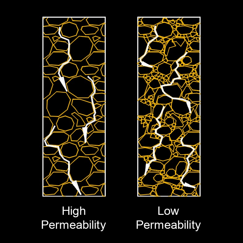 fluid permeability 2