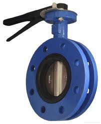 data flg butterfly valve 1