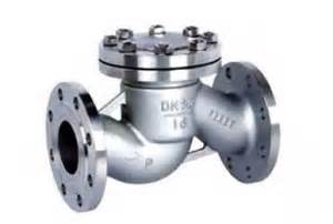 data flg piston check valve 1